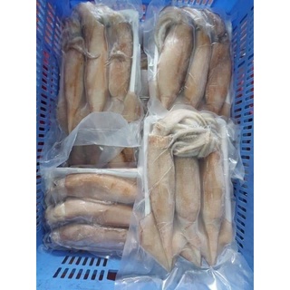 🦑Mực ống. 1kg (giao ngay)