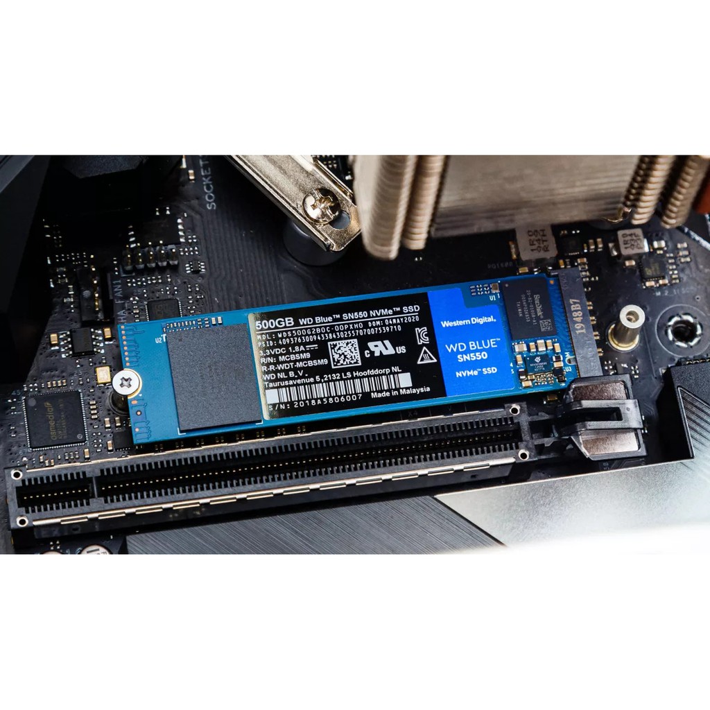 SSD Western Digital Blue SN550 PCIe Gen3 x4 NVMe M.2 | BigBuy360 - bigbuy360.vn