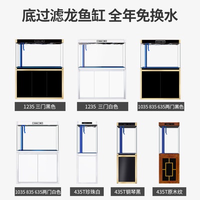 Bể cá siêu trắng, bể cá vàng phòng khách nhỏ, kích thước lớn, bể cá lọc, bể cá rồng