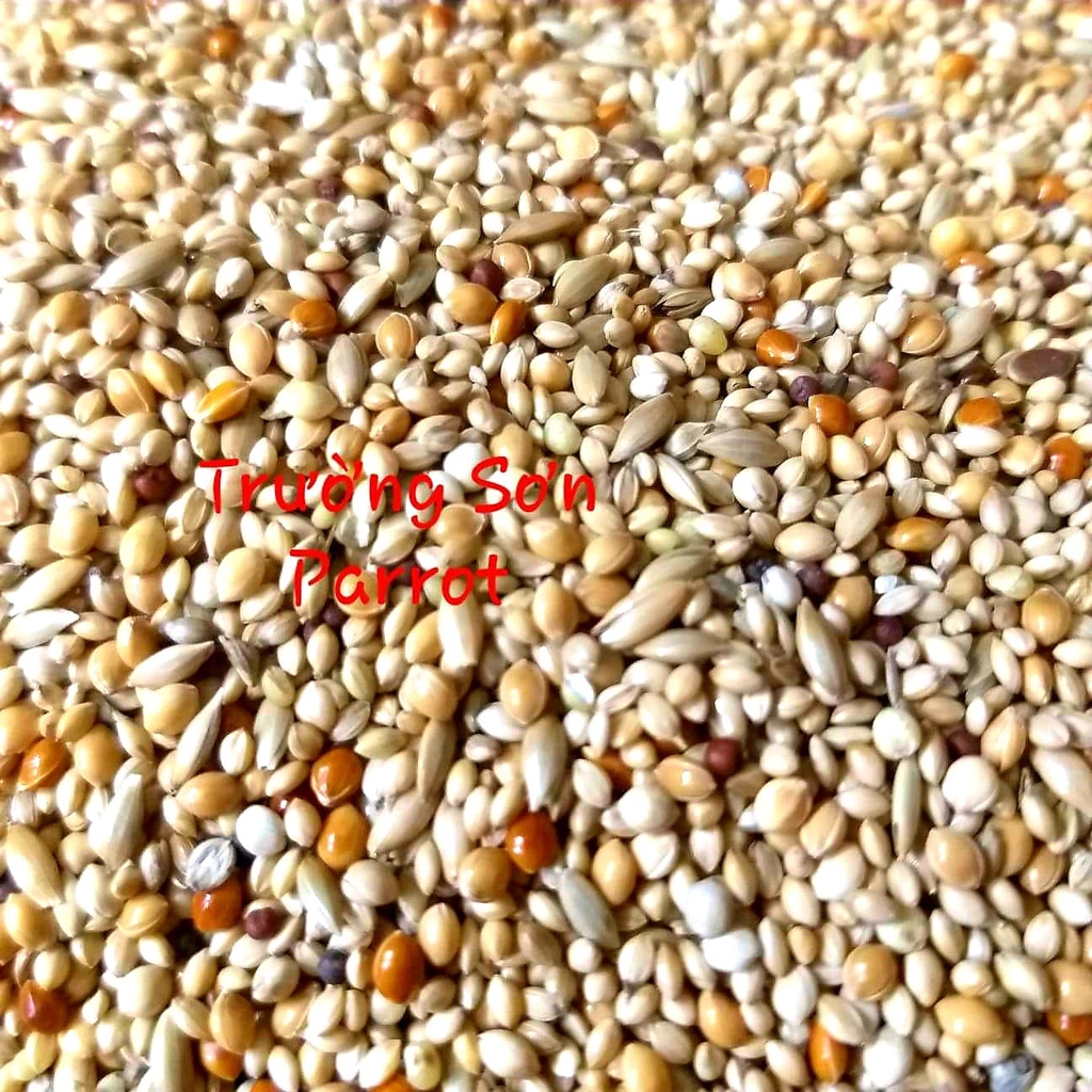 0,5/1kg hạt trộn cho finch, chim manh manh, bảy màu ....của Mannitoba