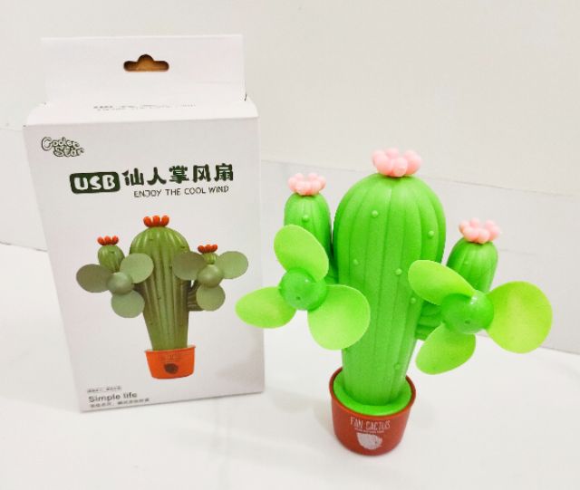 QUẠT XẠC ĐIỆN HÌNH CÂY XƯƠNG RỒNG ĐỘC LẠ