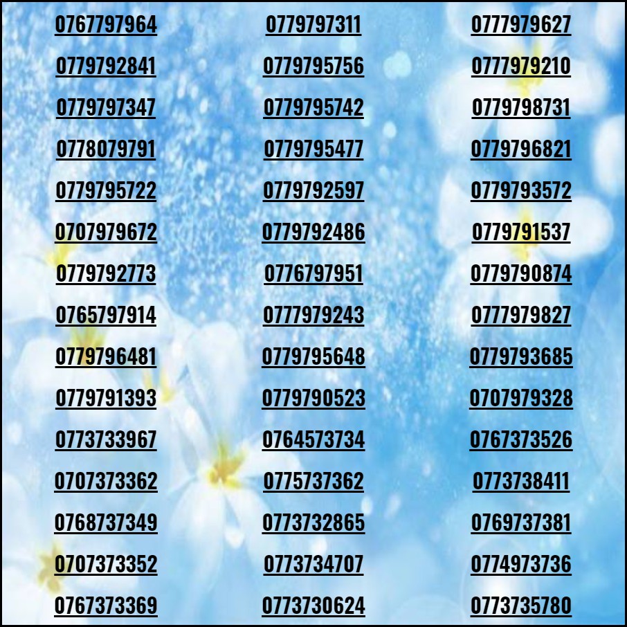 Sim Mobifone 10 số đẹp - đầu 09 khuyến mãi trọn đời