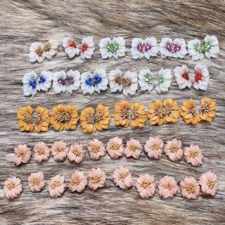 Set hoa bột