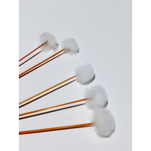 Bộ dụng cụ 8 món lấy rái tai giá rẻ