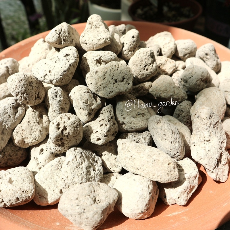 Đá bọt Nostiplant PUMICE size lớn 2-4cm  | Đá lông vũ, vật liệu lọc bể cá cảnh, giá thể kiểng lá