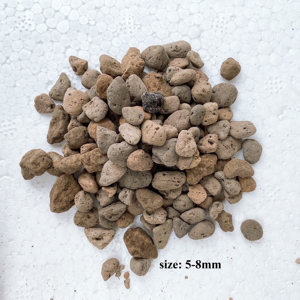 Đá Pumice, đá bọt nhiều kích thước trồng lan, tiểu cảnh Terrarium giúp thoát nước