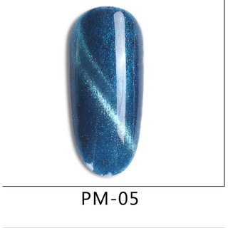 Sơn gel mắt mèo AS  mã PM chai 15ml
