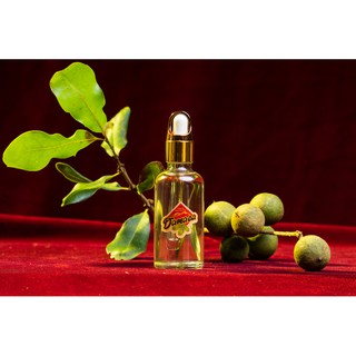 Dầu Macca Nguyên Chất 50ml - Damaca Nguyên Phương Đắk Lắk
