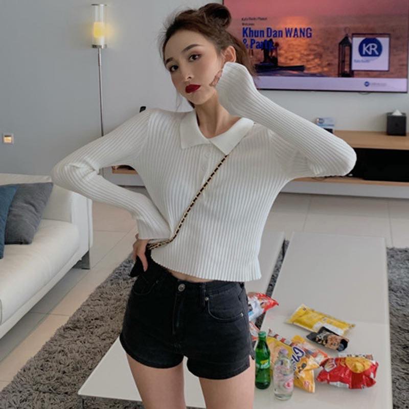 Áo Thun Polo Dệt Kim Tay Dài Dáng Ôm Thời Trang Mùa Thu Cho Nữ C & M 2021 | BigBuy360 - bigbuy360.vn