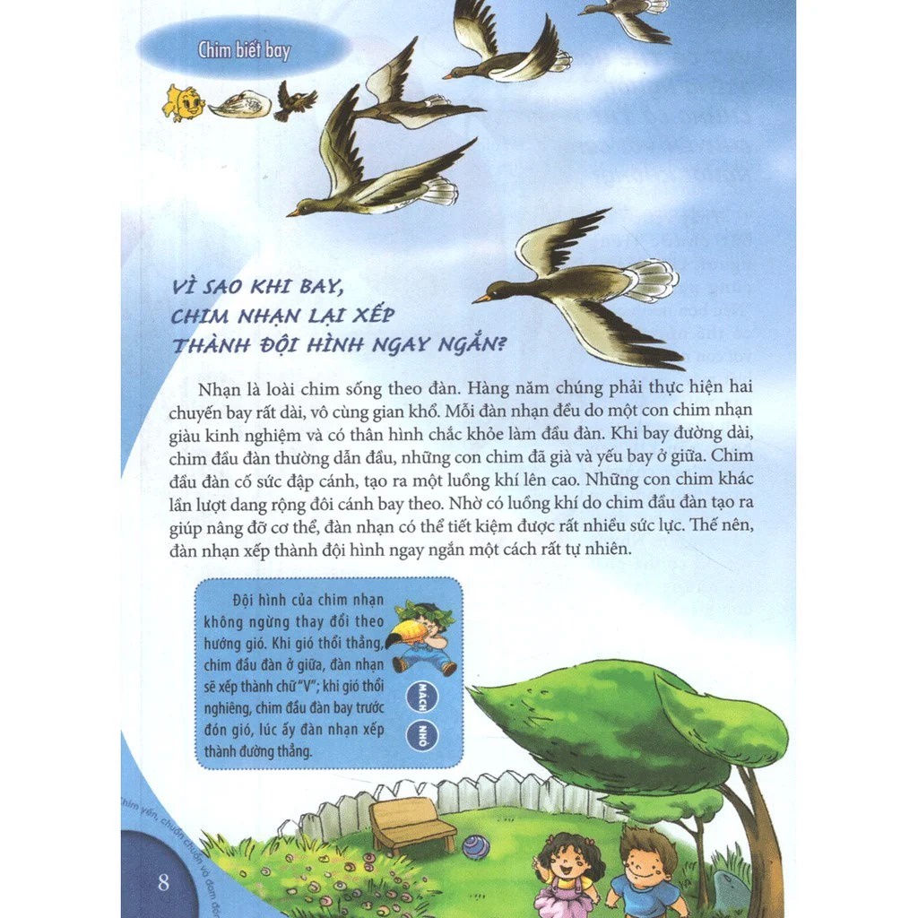 Sách - 10 Vạn Câu Hỏi Vì Sao - Chim Yến, Chuồn Chuồn &amp; Đom Đóm