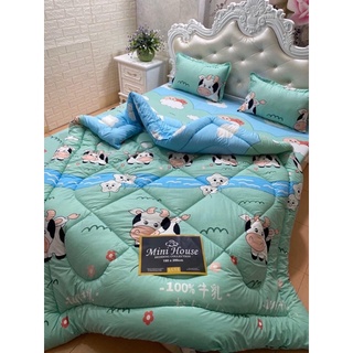 chăn phao poly set 5 món
