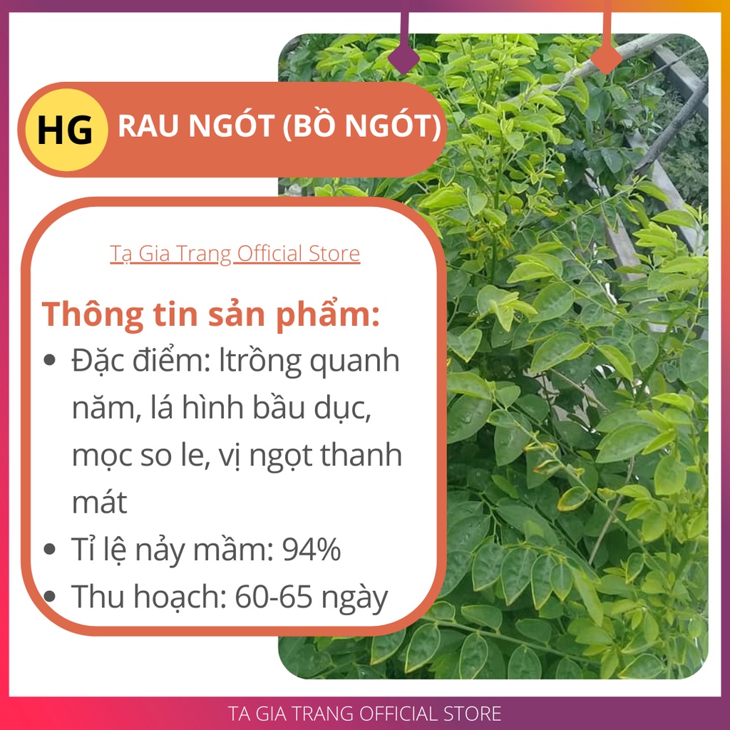 Hạt giống rau ngót (rau bồ ngót) 1gr