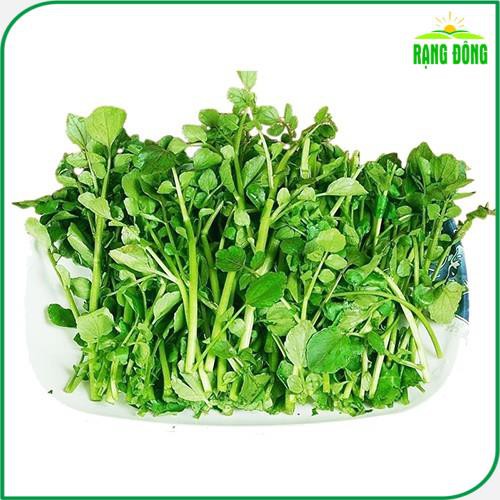 Hạt giống Xà Lách Xoong Sinh Trưởng Khỏe, Trồng Quanh Năm (gói 1 gram) - Hạt Giống Rạng Đông