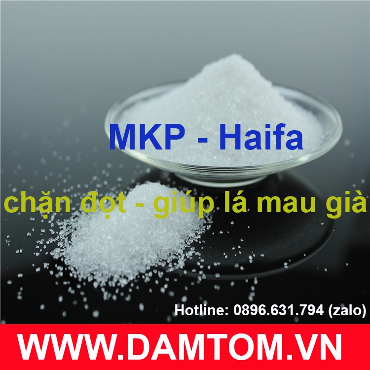 Gói 500 gam - phân bón MKP 0-52-34 Haifa - Israel KH2PO4 Kali dihidro photphat