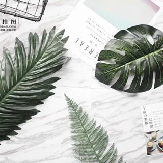 Combo 3 chiếc lá cọ làm phụ kiện chụp ảnh