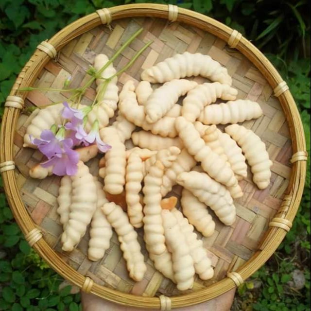 Bánh con sùng hộp 230gr