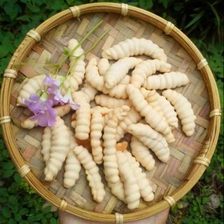 Bánh con sùng hộp 230gr
