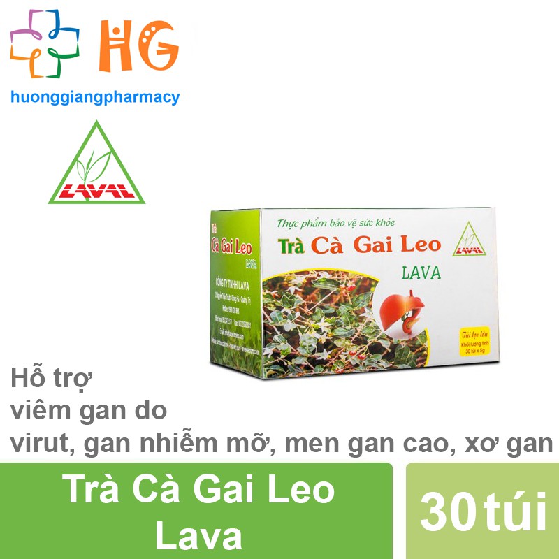 Combo 5 Hộp Trà Cà Gai Leo Lava (Hộp 30 gói)