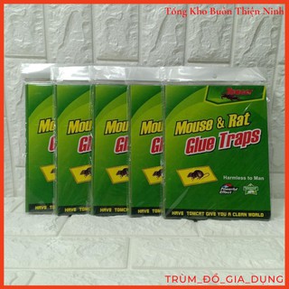 Combo 10 miếng dính chuột cao cấp