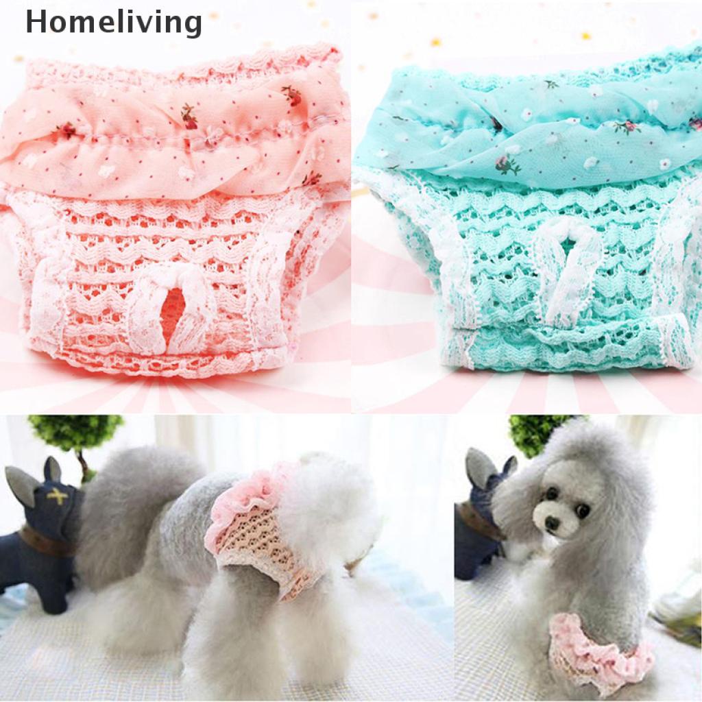 1 Quần Lót Sinh Lý Giặt Được Tiện Dụng Cho Thú Cưng