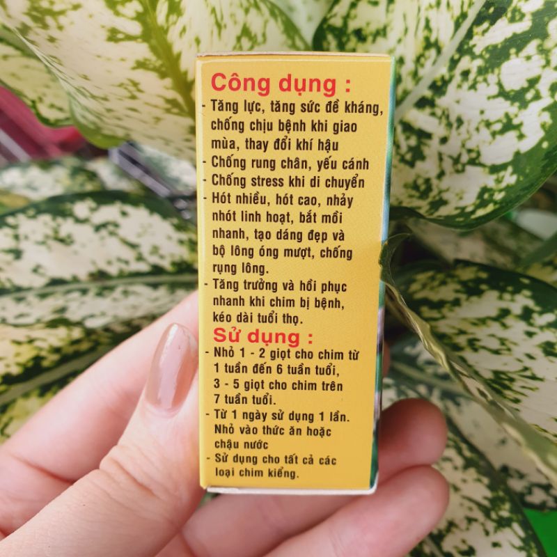 Vitamin RockeminTăng Lực Cho Chim