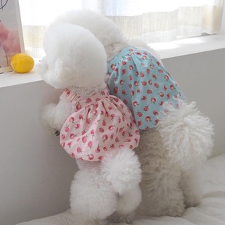 Áo bí cute cho thú cưng, quần áo chó mèo
