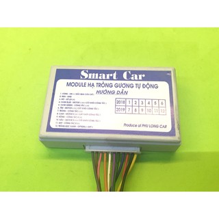 Module Tự động hạ tròng gương ô tô