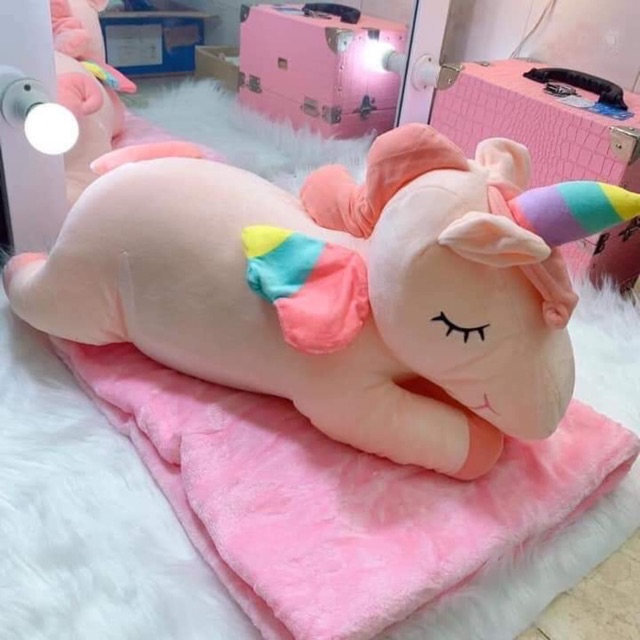 Set chăn hình 2in1