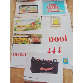 Flashcard fa 2nd (starter-5)