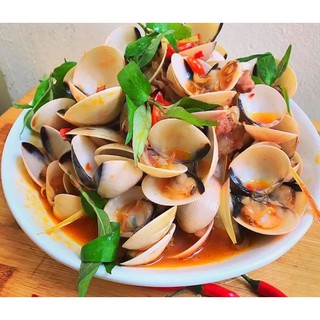 COMBO ỐC VẶN, ỐC MÍT, NGAO TRẮNG