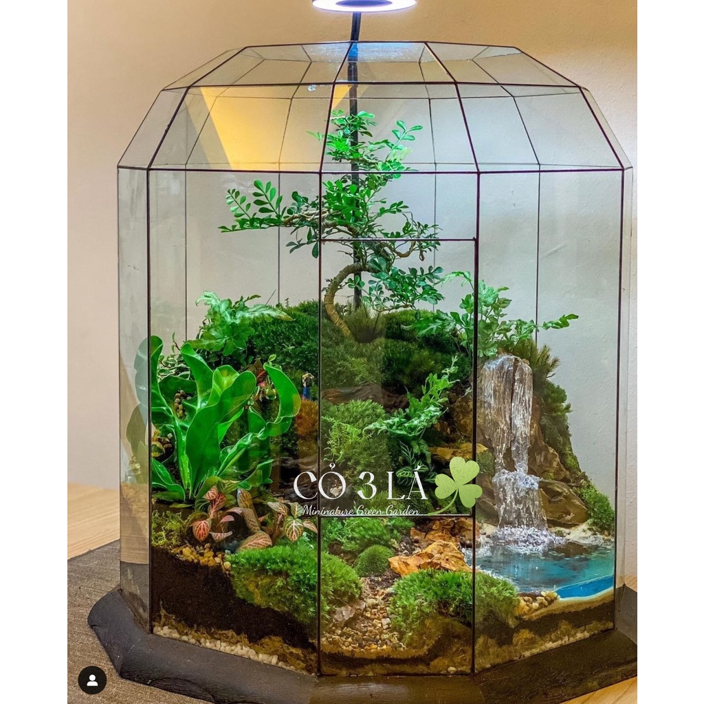 Bình thủy tinh đa giác terrarium tiểu cảnh bán cạn, nuôi cá .trồng sen đá