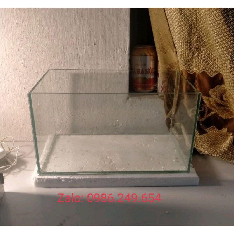 Bể cá mini