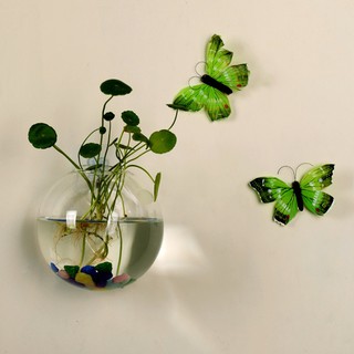 ขวดโหลแก้วทรงกลม ตกแต่งสวยด้วย Hydroponic Wall Mount