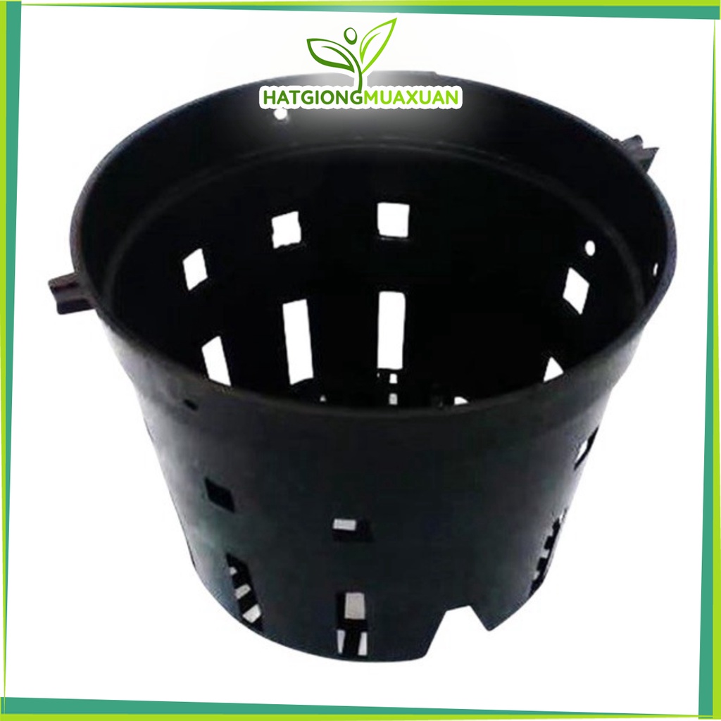 [SIEURE] Combo 10 chậu nhựa trồng lan phi 12 hàng đẹp, phân phối chuyên nghiệp.