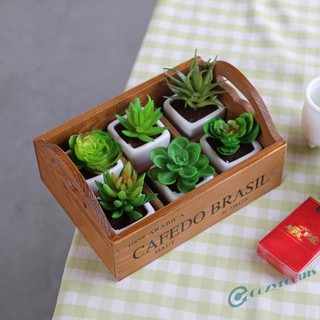 Khay gỗ trồng sen đá kiểu dáng cổ điển