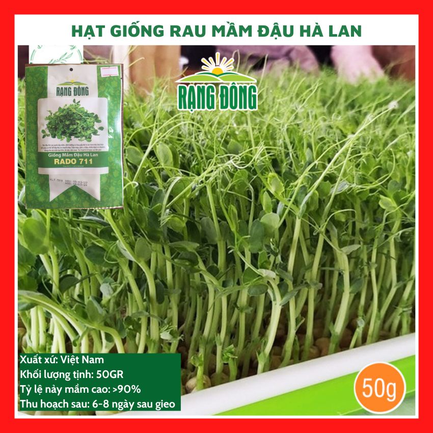 Hạt giống rau mầm ĐẬU HÀ LAN ngon giòn ngọt - rau củ quả trồng chậu thu hoạch sau 6-8 ngày 30gr RAD0711