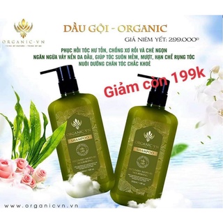 DẦU GỘI HỮU CƠ ORGANIC-VN