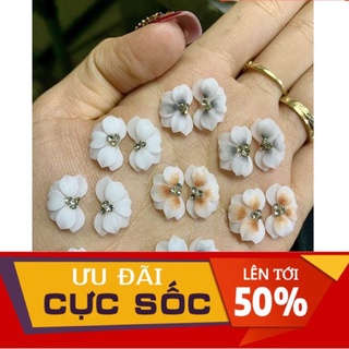 Hoa cúc nhọn - Hoa bột nail