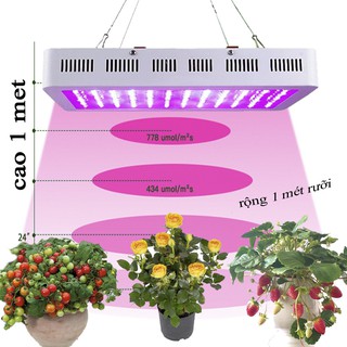 Đèn led trồng cây, đèn trồng cây trong nhà, led grow light gl-1000w-75100