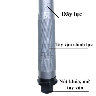 Cờ lê lực Licota AQT-N6980