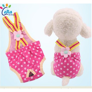 Quần Yếm Cho Chó Mèo - QUần Áo 046