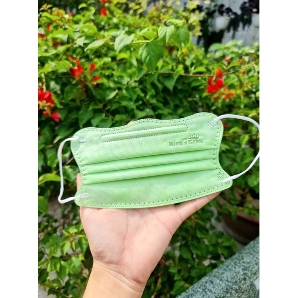 Khẩu trang con cua