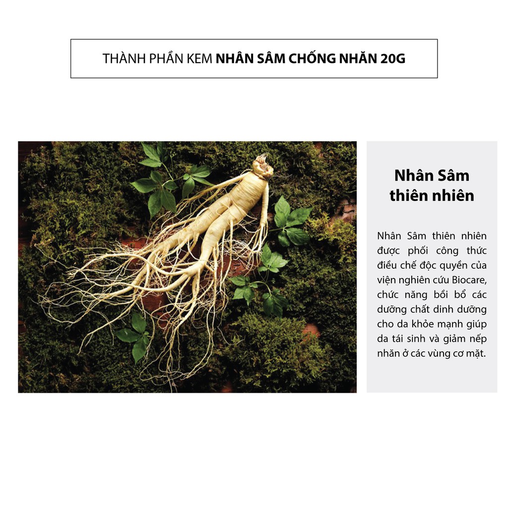 Kem nén nhân sâm cao cấp chống nhăn lão hóa, chống nắng , giúp làm sáng mịn da 20g