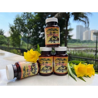 Quy Tỳ Hoàn, ích khí bổ máu cho người tâm tỳ hư, khí huyết hư, mất ngủ, sản phẩm của viện y học cổ truyền Bộ Công An