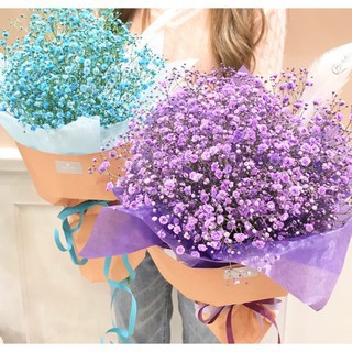 Hoa baby ướp ❤️FREESHIP❤️ Gypsophila hoa khô trang trí phòng ngủ, làm đồ handmade