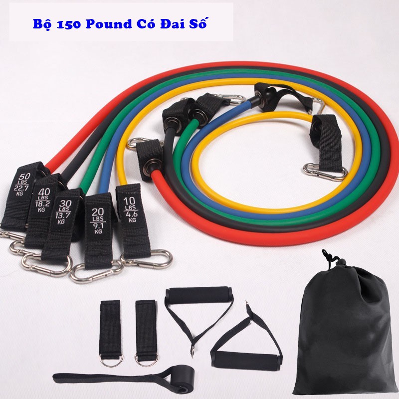 Dây Ngũ Sắc Tập Gym Đa Năng Full Body, Dây Kháng Lực Tập Gym, Dụng Cụ Thể Thao, Đồ Tập Gym Nam Nữ Tại Nhà