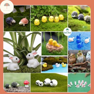 🌟 Miễn Ship 🌟 Tiểu Cảnh Trang Trí Chậu Cây Terrarium Đa Dạng Mẫu Mã Mèo Quạo Đáng Yêu