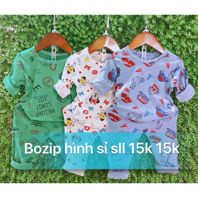 70b bozip hình