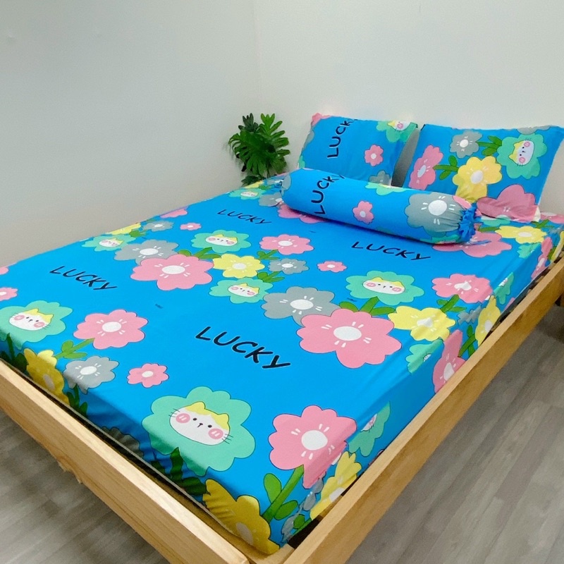 Bộ ga và vỏ gối thun mẫu bông hoa