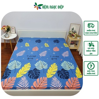 Ga chống thấm cotton giá rẻ, ga trải giường chống thấm bảo vệ đệm m6 m8